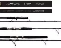 NS SW Game Rods