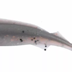 Berkley Gulp Nemesis Lures -Fishing Sales 2023 1344573 NEMESIS PEPPERED PRAWN 7662c703 08c5 4fe9 abbe 9a55a861a99b scaled