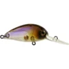 Atomic Hardz Crank 38 Lures -Fishing Sales 2023 ATOMIC HC38D GW FREDDYS b05c23e3 7297 46e5 a2ca 42f592dee5ba