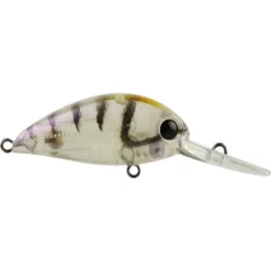 Atomic Hardz Crank 38 Lures -Fishing Sales 2023 ATOMIC HC38D PS FREDDYS ecc24588 5183 45ca b13e 57e48b5cc0bb