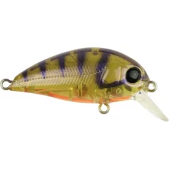 Atomic Hardz Crank 38 Lures -Fishing Sales 2023 ATOMIC HC38M MP FREDDYS 3017a349 5586 4247 b361 2ae6c751830d