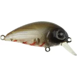Atomic Hardz Crank 38 Lures -Fishing Sales 2023 Atomic Hardz Crank Mid Tristos Eagles Freddys 78e4aa1a 7cee 4560 8758 a7a44b1bab3a