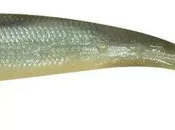 Berkley Gulp Minnow Lures 18 Berkley Gulp Minnow Lures -Fishing Sales 2023 BP90015150001 smelt 80961bff db1f 4ad9 a415 4d8d1410be8a