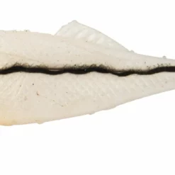 Berkley Shimma Shad Vibe Lures -Fishing Sales 2023 BRK SHIMMASHAD FROSTYGLAZE f823ed7a a80c 468e b38c 6f77204efb9f scaled