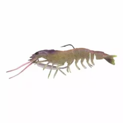 Chasebaits Heavy Flick Prawns 95mm Lures 11 Chasebaits Heavy Flick Prawns 95mm Lures -Fishing Sales 2023 C JELLY PRAWN 46156d87 6f1d 42a6 a66a b629a5232f22