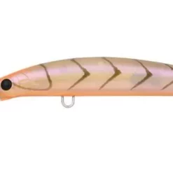 Daiwa Double Clutch 115mm H/D Lures 18 Daiwa Double Clutch 115mm H/D Lures -Fishing Sales 2023 DOUBLECLUTCH115V8 1080xFREDDYS 4625d73d 0fea 452c ba28 af2e9de5723e