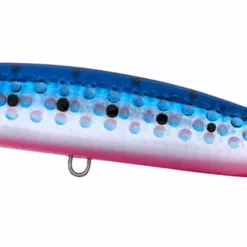 Daiwa Rough Ride 160F Surface Lures -Fishing Sales 2023 DaiwaRoughRideSurfaceLuresBluePinkIwashi Freddys