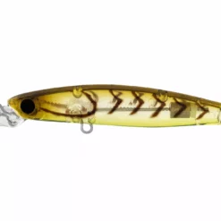 Daiwa 2022 Infeet Sazanami 60SP Lures