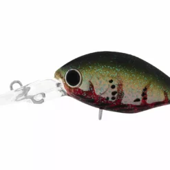 Daiwa Infeet Rollin Crank Lures 25 Daiwa Infeet Rollin Crank Lures -Fishing Sales 2023 Daiwa Infeet Rollin Crank Lures DR Red Crab Freddys