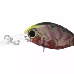 Daiwa Infeet Rollin Crank Lures 27 Daiwa Infeet Rollin Crank Lures -Fishing Sales 2023 Daiwa Infeet Rollin Crank Lures DR Suji Berry Freddys