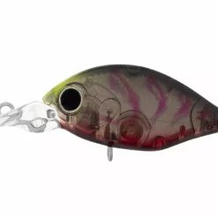 Daiwa Infeet Rollin Crank Lures 21 Daiwa Infeet Rollin Crank Lures -Fishing Sales 2023 Daiwa Infeet Rollin Crank Lures MR Suji Berry Freddys