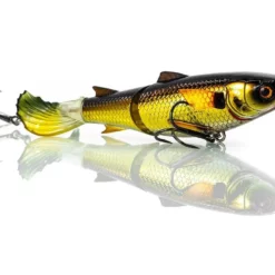 Chasebaits Drunken Mullet Lure Clearance -Fishing Sales 2023 DrunkenMullet 2 2000 Gold Shiner 73d4fecc 0715 4b19 8a0f cf0aa8d89691