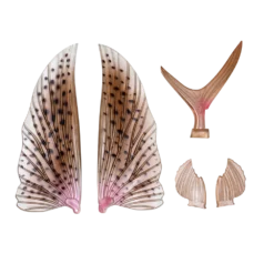 Nomad Slipstream Flying Fish Wing Pack 16 Nomad Slipstream Flying Fish Wing Pack -Fishing Sales 2023 FF140 WP TGR