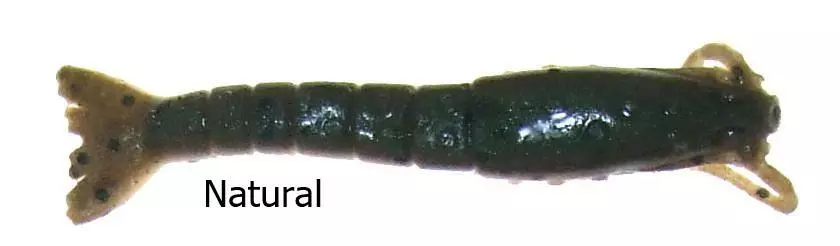 Berkley Gulp Shrimp Lures 7 Berkley Gulp Shrimp Lures - Image 5