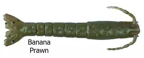 Berkley Gulp Shrimp Lures 3 Berkley Gulp Shrimp Lures