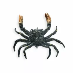 Chasebaits Crusty Crab 50 Lures -Fishing Sales 2023 Gold Digger a26a5dbb 5dad 460d 9f55 c9117047e832