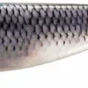 Hayabusa Gotcha Shad Lures -Fishing Sales 2023 Gotcha Shad Lures C05 Freddys scaled