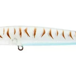 Daiwa Infeet Slippery Dog TG Tune Surface Lures -Fishing Sales 2023 INFEETSLIPPERYDOG80F AMMONITE 1080xFREDDYS 7e5d9da3 886f 42bf 999e 8a912144f529