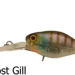 Jackall Diving Chubby Deep Floating Lures -Fishing Sales 2023 Jackall Diving Chubby Ghost Gill Freddys ea99f505 9261 4e16 981a 575088f4409c