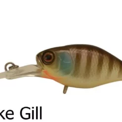 Jackall Diving Chubby Deep Floating Lures -Fishing Sales 2023 Jackall Diving Chubby Noike Gill Freddys 7d47457f 27f4 4682 bd8b 160b1951e183
