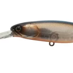 Jackall Squirrel SDD 79SP Suspending Hank Tune Lures -Fishing Sales 2023 Jackall Squirrel 76 Sardine Freddys 3b6a3cb5 ea13 4972 afd1 15b039097e54