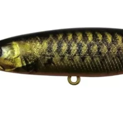 Jackall Squirrel SDD 79SP Suspending Hank Tune Lures -Fishing Sales 2023 Jackall Squirrel 79 Gold King Freddys 09f4e31b 9720 4bff 9d14 b44496fcbfbd