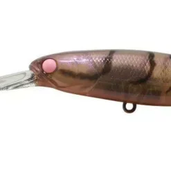 Jackall Squirrel SDD 79SP Suspending Hank Tune Lures -Fishing Sales 2023 Jackall Squirrel SDD79 Pink Eye Suji Freddys b03434df d7b4 4b87 ab44 409857a7299d