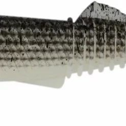 Samaki Boom Bait Mega Bomb Shad 7in Lures 16 Samaki Boom Bait Mega Bomb Shad 7in Lures -Fishing Sales 2023 Mega Bomb Shad Turbo Mullet UV a7147f51 f55d 43f7 9b43 505facbd7ad9 scaled