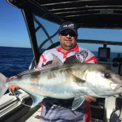 Mustad Big Gun 10829NPBLN Box Hooks 25 Pack -Fishing Sales 2023 Mustad Big Gun Hooks 2 Freddys b3cbcb85 6990 45c0 9ebf 62df119b8cfa