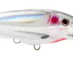 Nomad DTX Minnow 85mm Lures -Fishing Sales 2023 Nomad DTX Minnow BM Freddys cf48bb20 af5c 43bc b559 f6a1fa87e03d