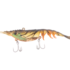 Berkley Shimma Shrimp Vibe Lures 21 Berkley Shimma Shrimp Vibe Lures -Fishing Sales 2023 OrangeBellyShrimp 4b0593e0 c66e 452a 8dd2 35c4733e1ff9