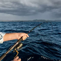 Penn Slammer Graphite Rods -Fishing Sales 2023 PennSlammerGraphiteRods17 Freddys