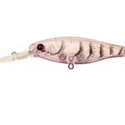 Berkley Pro-Tech Bazz Bait 80mm Lures -Fishing Sales 2023 ProTech Bazz Bait 80 Pink Shrimp b52b5ccd 2cb4 4fcf a76b 5608d2820c90