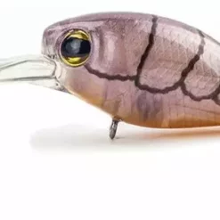 Pro Lure D36 Deep Diving Crank Lures -Fishing Sales 2023 Pro Lure D36 Crank Lures Violet Shrimp Freddys