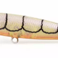 Pro Lure SF 62mm Surface Lures 11 Pro Lure SF 62mm Surface Lures -Fishing Sales 2023 Pro Lure SF 62mm Surface Lures Violet Shrimp Freddys