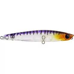Bassday Sugapen Floating Surface Lures -Fishing Sales 2023 SP70F MB14 52993634 9c0e 4701 8039 0caf13d72749