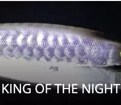 Jackall Squirrel 2020 SQ 115SP SI Hank Tune LUres -Fishing Sales 2023 Screen Shot 2020 11 16 at 5.46.30 pm