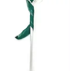 Seahorse Alloy Prawn Nets