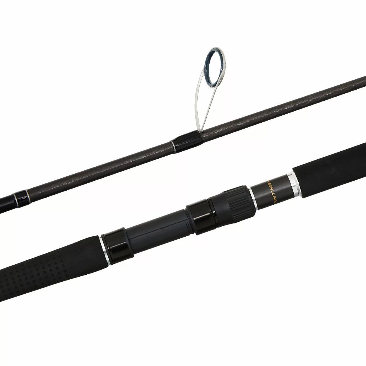 Shimano Anthem SW 2020 Graphite Rods 3 Shimano Anthem SW 2020 Graphite Rods