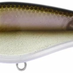 Westin Swim Lures -Fishing Sales 2023 Smelt Chrome bb51b5f7 235e 4af3 8eb1 85b0be566b38 scaled