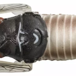 Tiemco Soft Shell Cicadas 12 Tiemco Soft Shell Cicadas -Fishing Sales 2023 TIEMCO Soft Shell Cicada 130 Silver Freddys 52852e22 8087 429b b16d bea5918a4f78