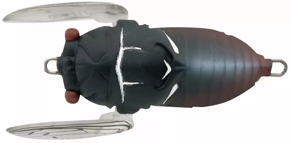 Tiemco Soft Shell Cicadas 8 Tiemco Soft Shell Cicadas - Image 6