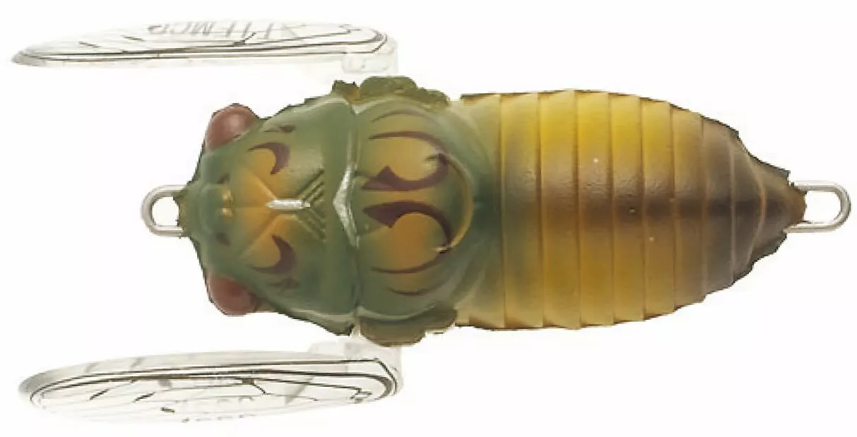 Tiemco Soft Shell Cicadas 3 Tiemco Soft Shell Cicadas