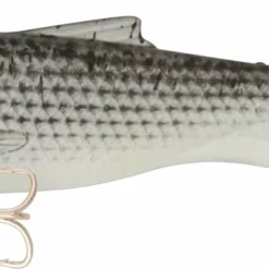 Samaki Vibelicious 150mm Fork Tail Vibes -Fishing Sales 2023 Vibelicious Fork Turbo Mullet Freddys c2ea9539 ff6f 44e5 9ba3 d357e342b3a0 scaled