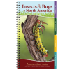 AdventureKEEN Insects & Bugs Of North America -Fishing Sales 2023 adventurekeen insects bugs of north america