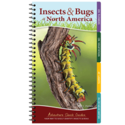 AdventureKEEN Insects & Bugs Of North America
