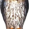 Bird-B-Gone RTH1 Hawk Decoy -Fishing Sales 2023 bird b gone rth1 bird b gone hawk decoy 15964.1651015900.386.513