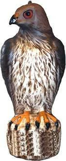 Bird-B-Gone RTH1 Hawk Decoy 3 Bird-B-Gone RTH1 Hawk Decoy