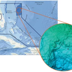 C-MAP Reveal - Florida & The Bahamas
