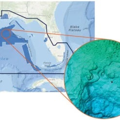 C-MAP Reveal - US - Port St. Lucie To New Orleans